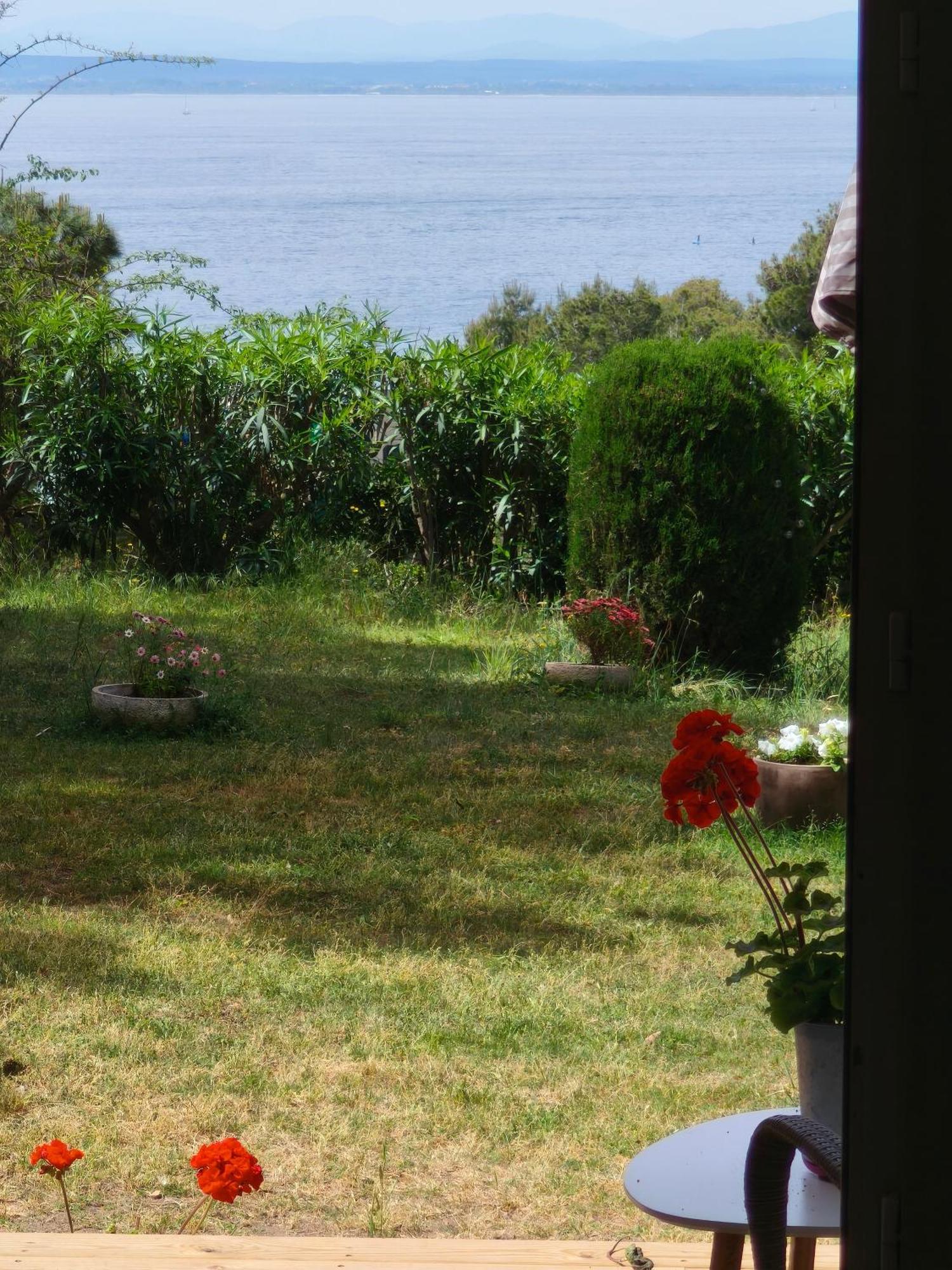 Canyelles * Roses